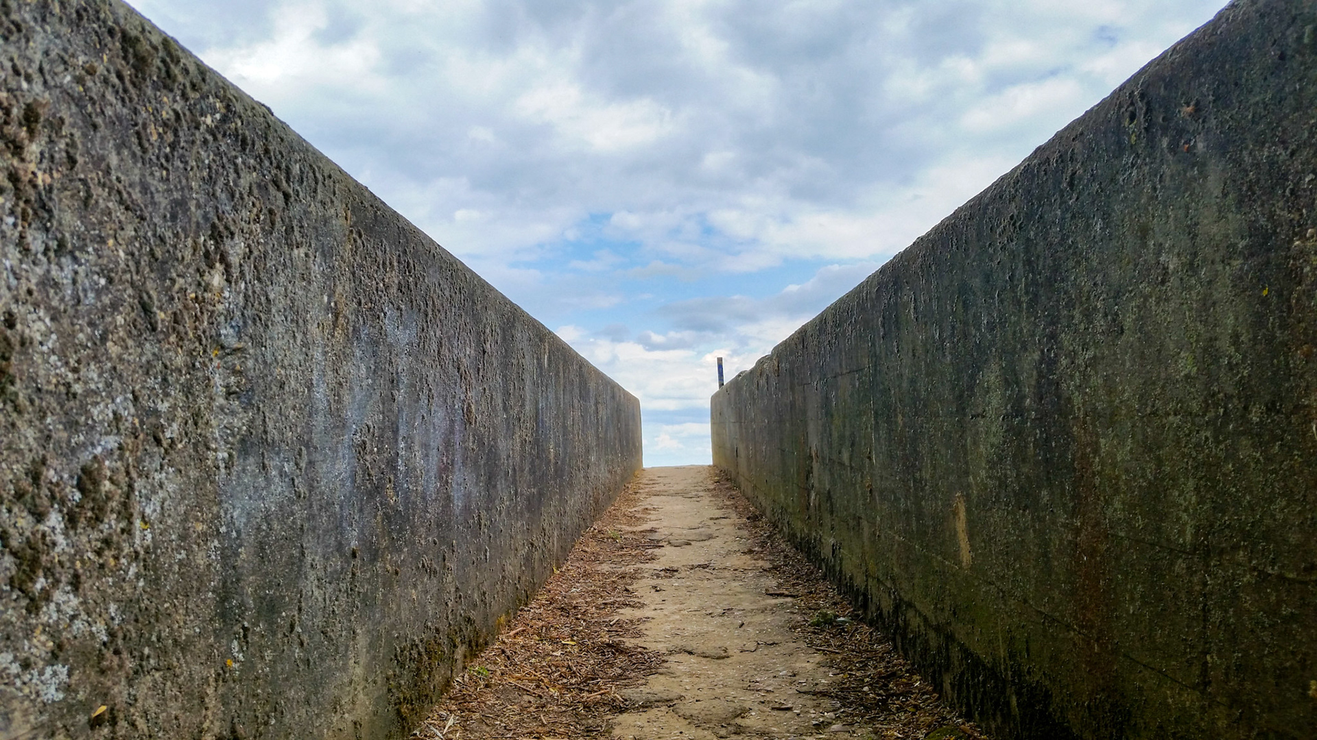 Abstract concrete along the Lek river