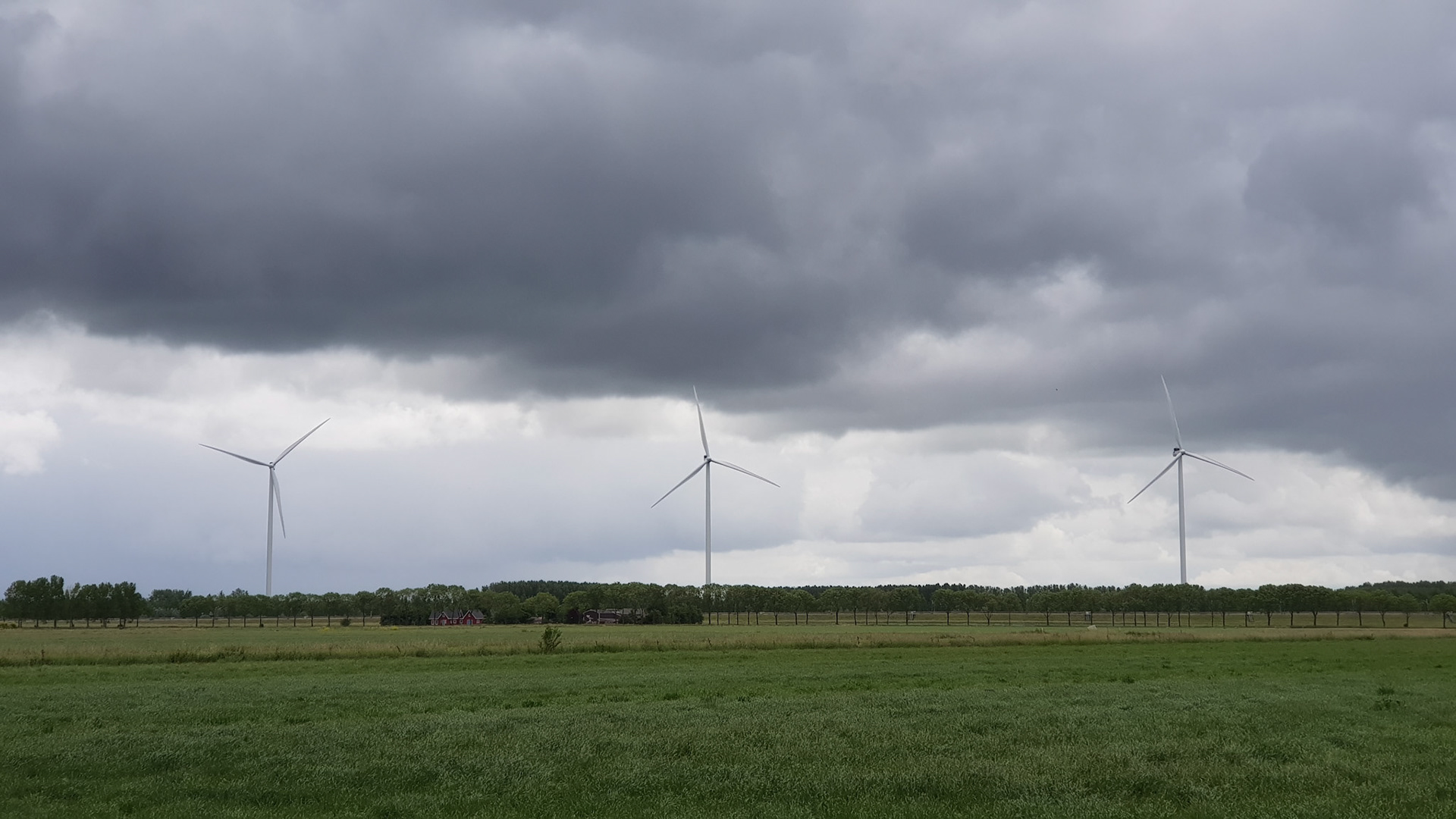 Walk before the rain