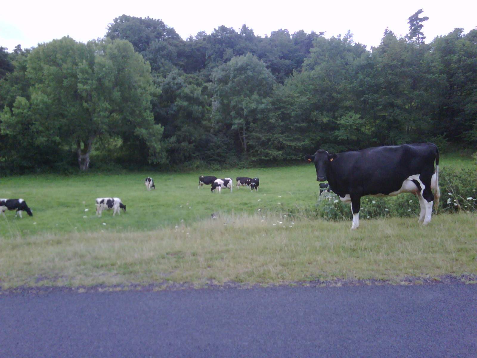 So I got out... now what?