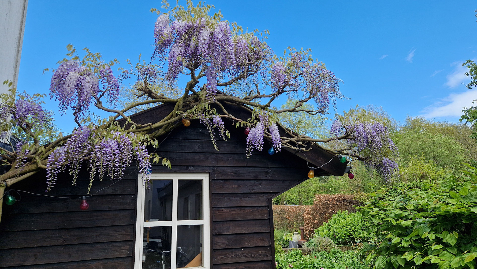 Blauwe lucht en regen