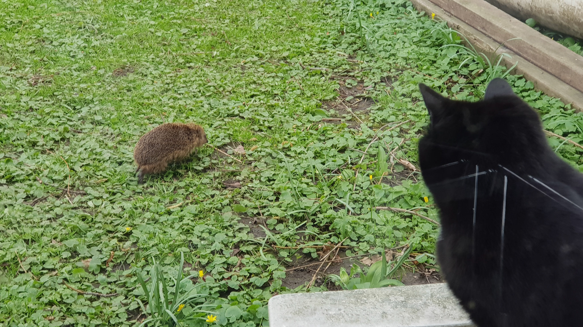 Back from hibernation