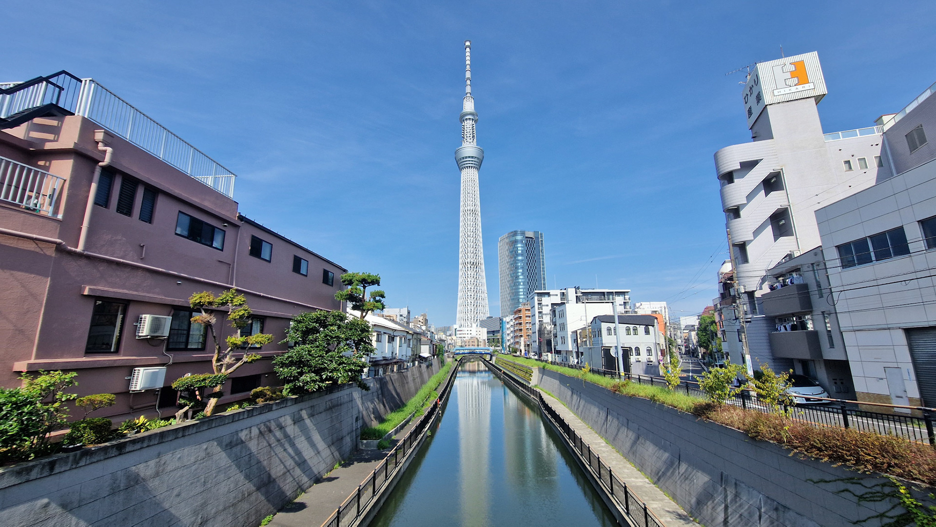 Run around the Skytree
