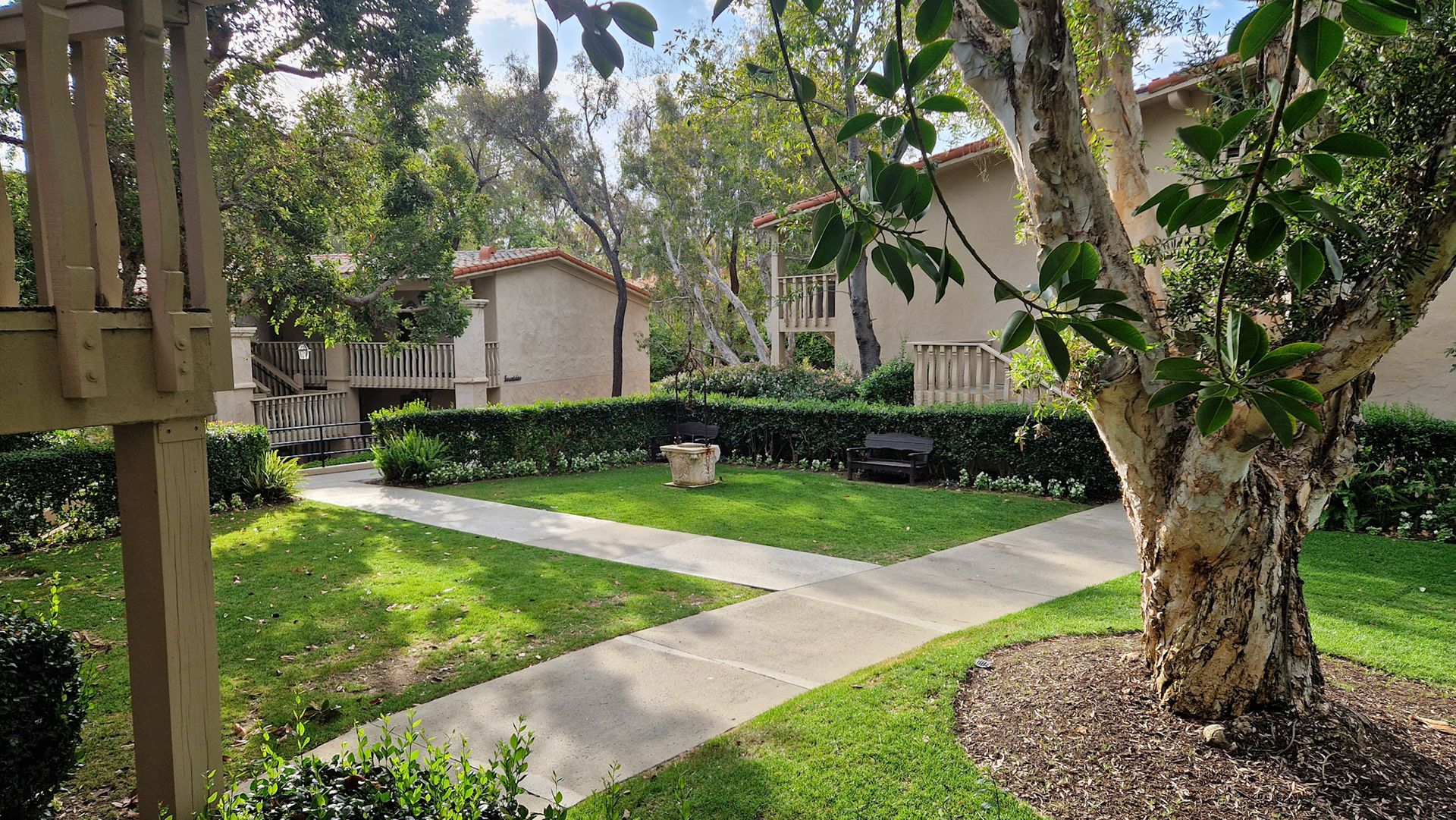 Smell the Eucalyptus trees