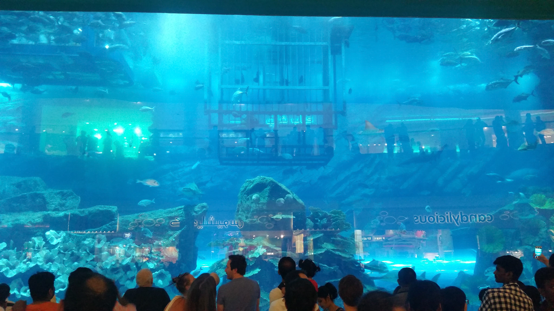 Dubai aquarium