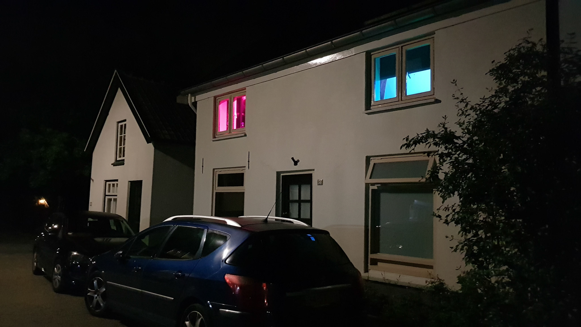 What are they doing?