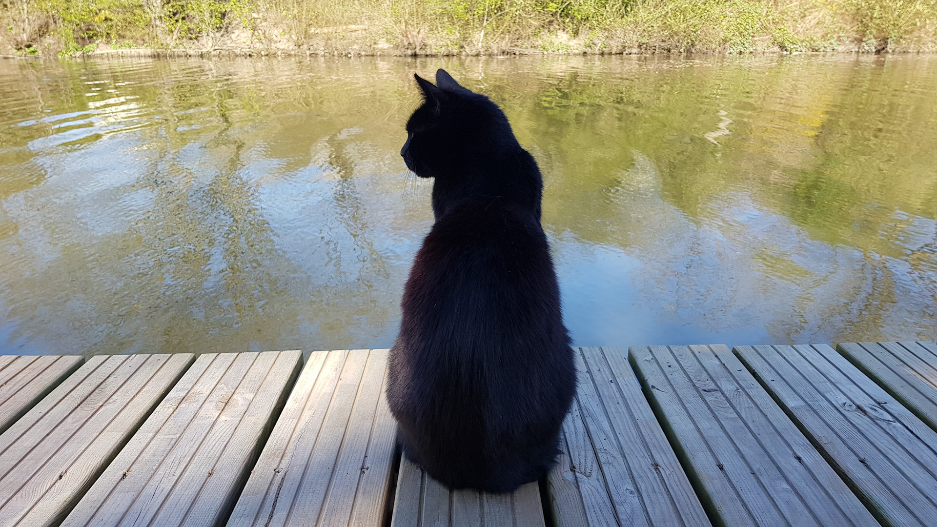 Checkin' the duckies