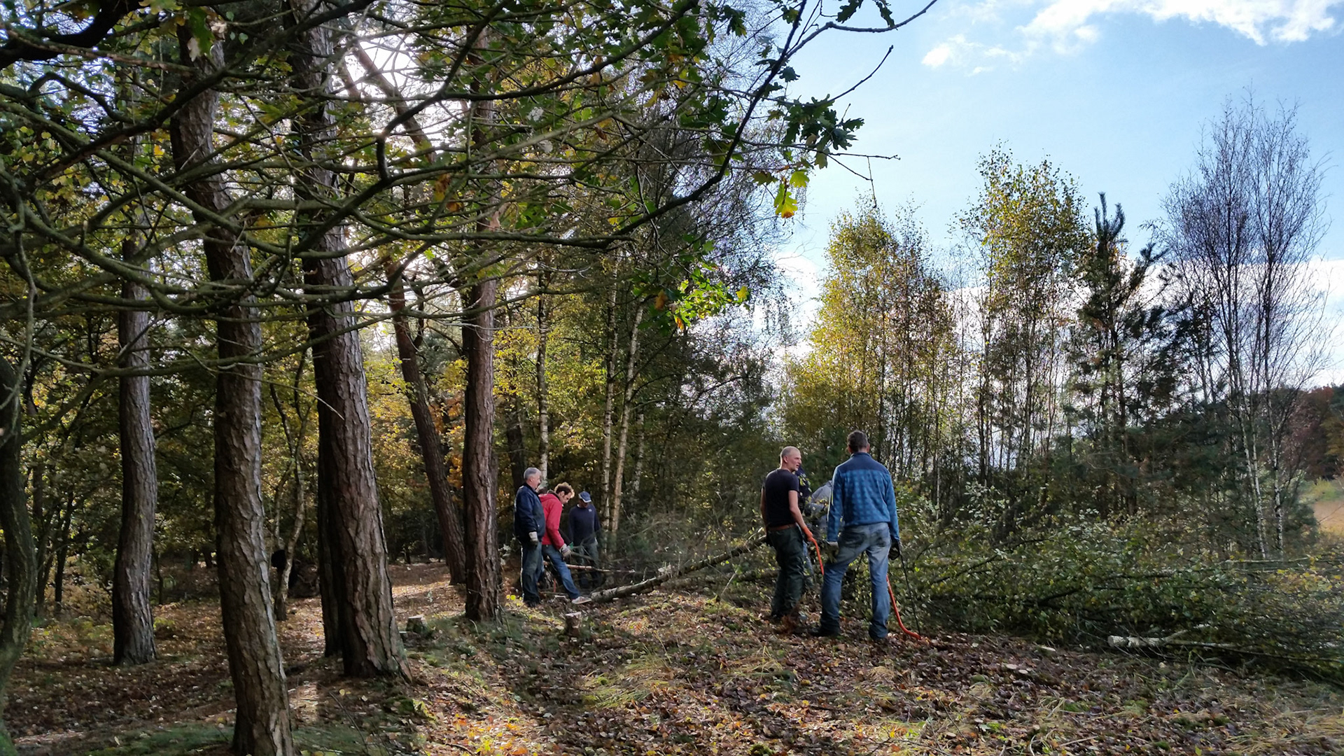 Vrijwilligerswerk met collega's