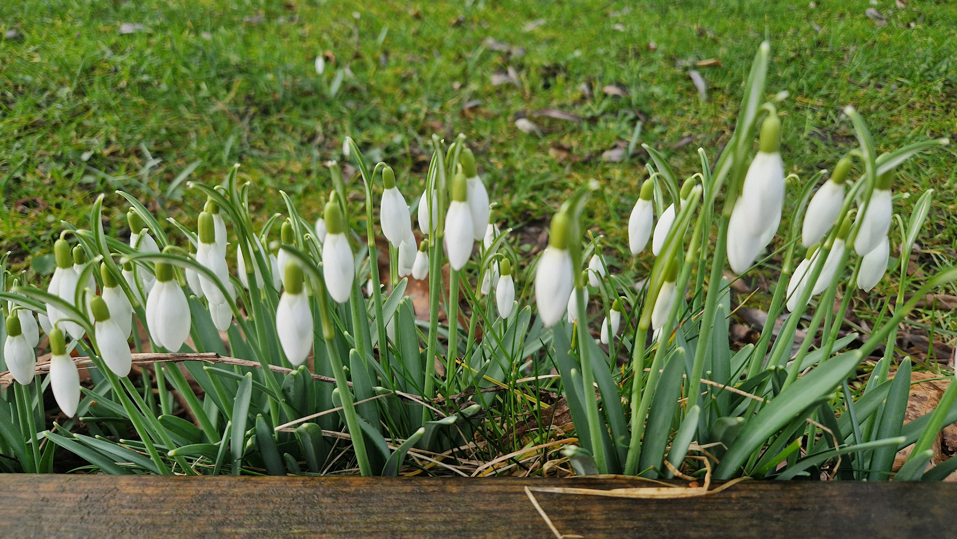 Snow clocks