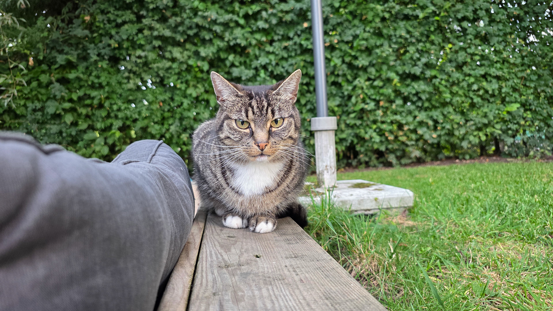 I can help with your BBQ