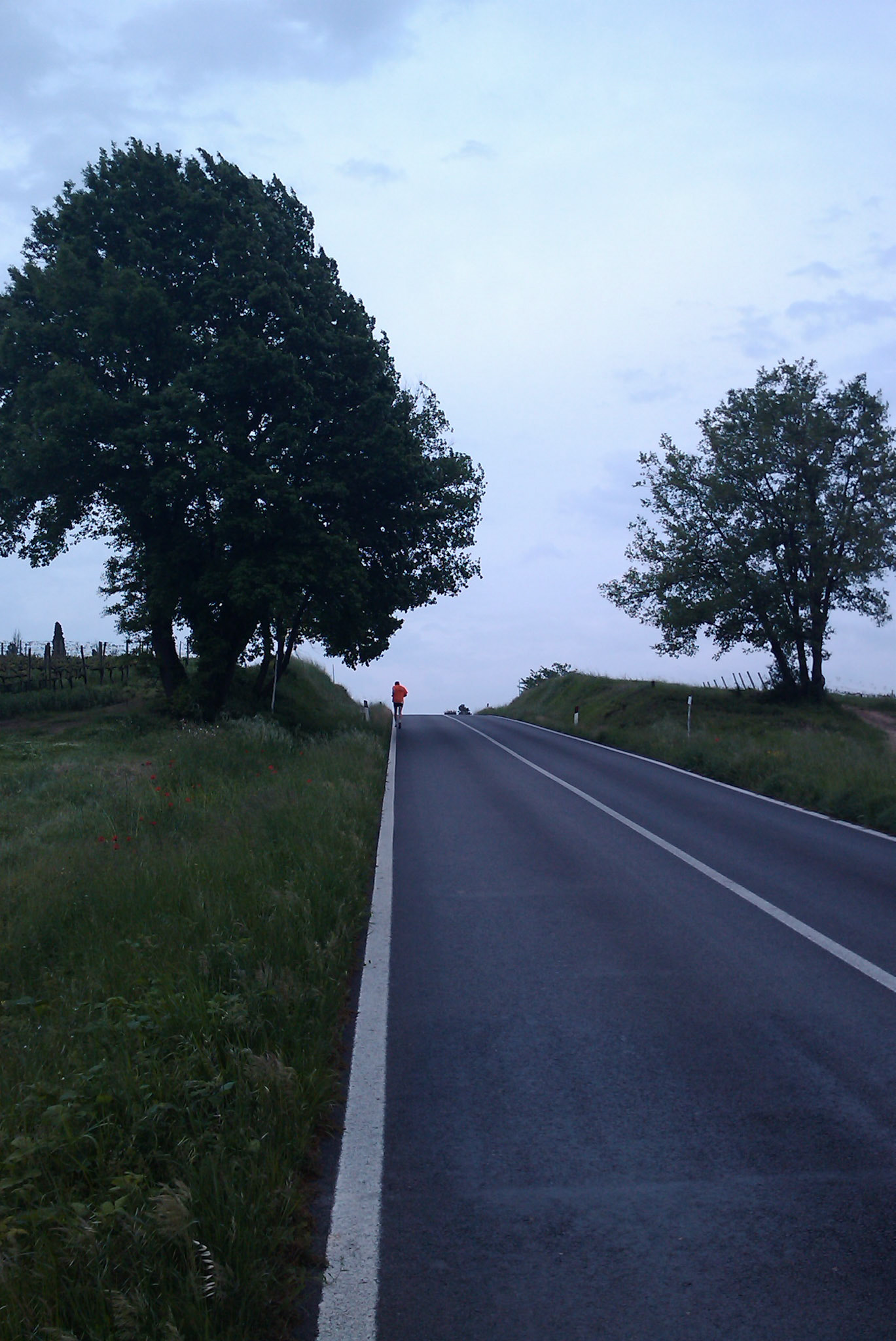 Erik loopt sneller dan ik op een 12% stijging