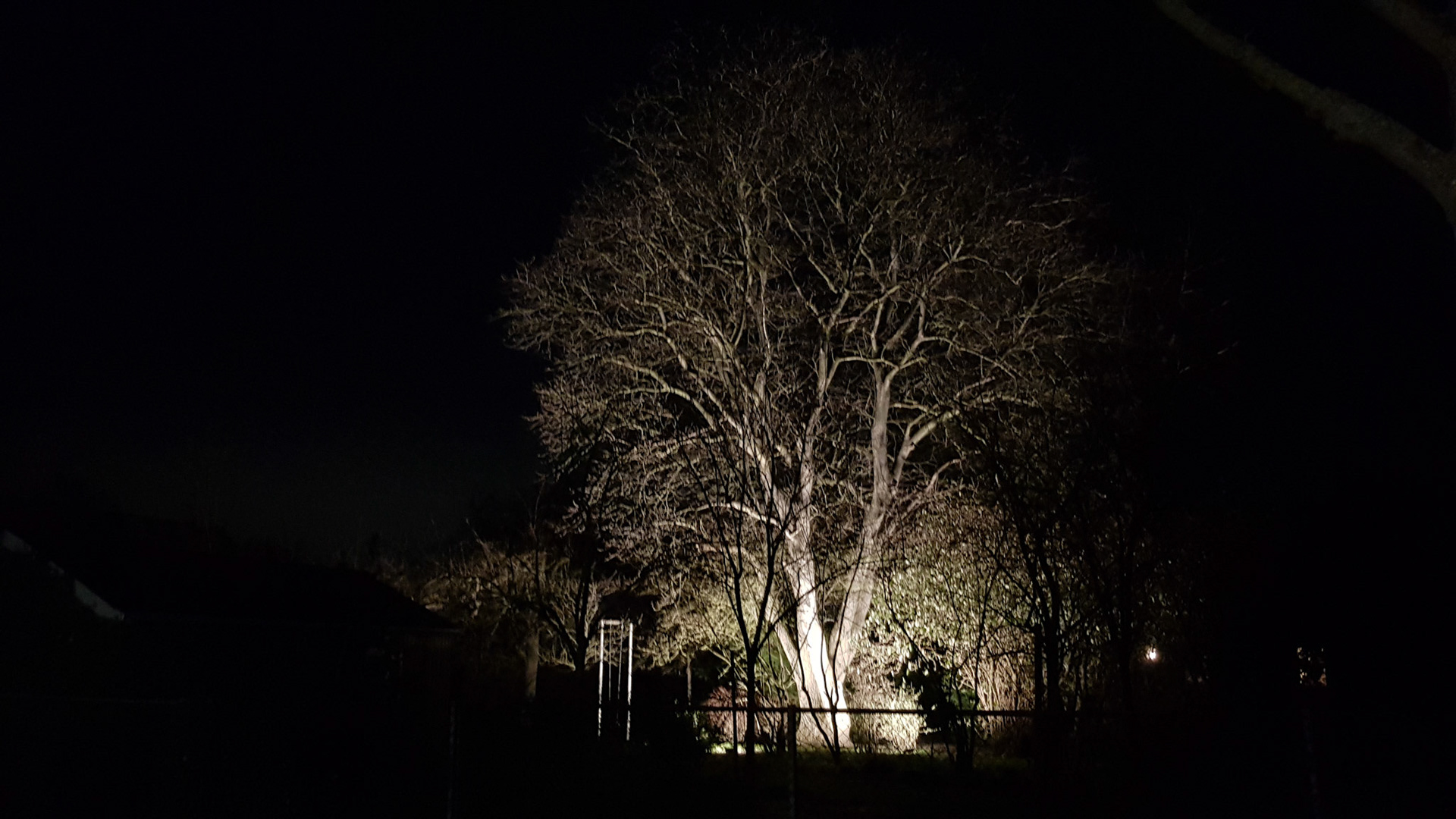 Impressive night light