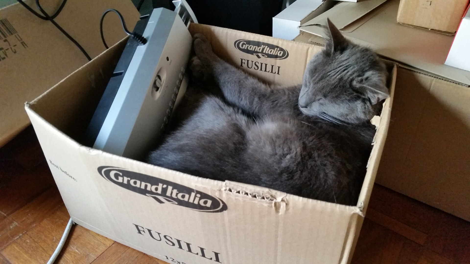 Sleeping with the (paper shredder) enemy