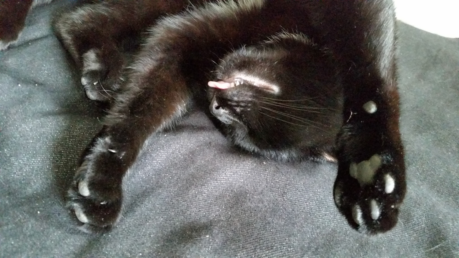 Dramatic death scene