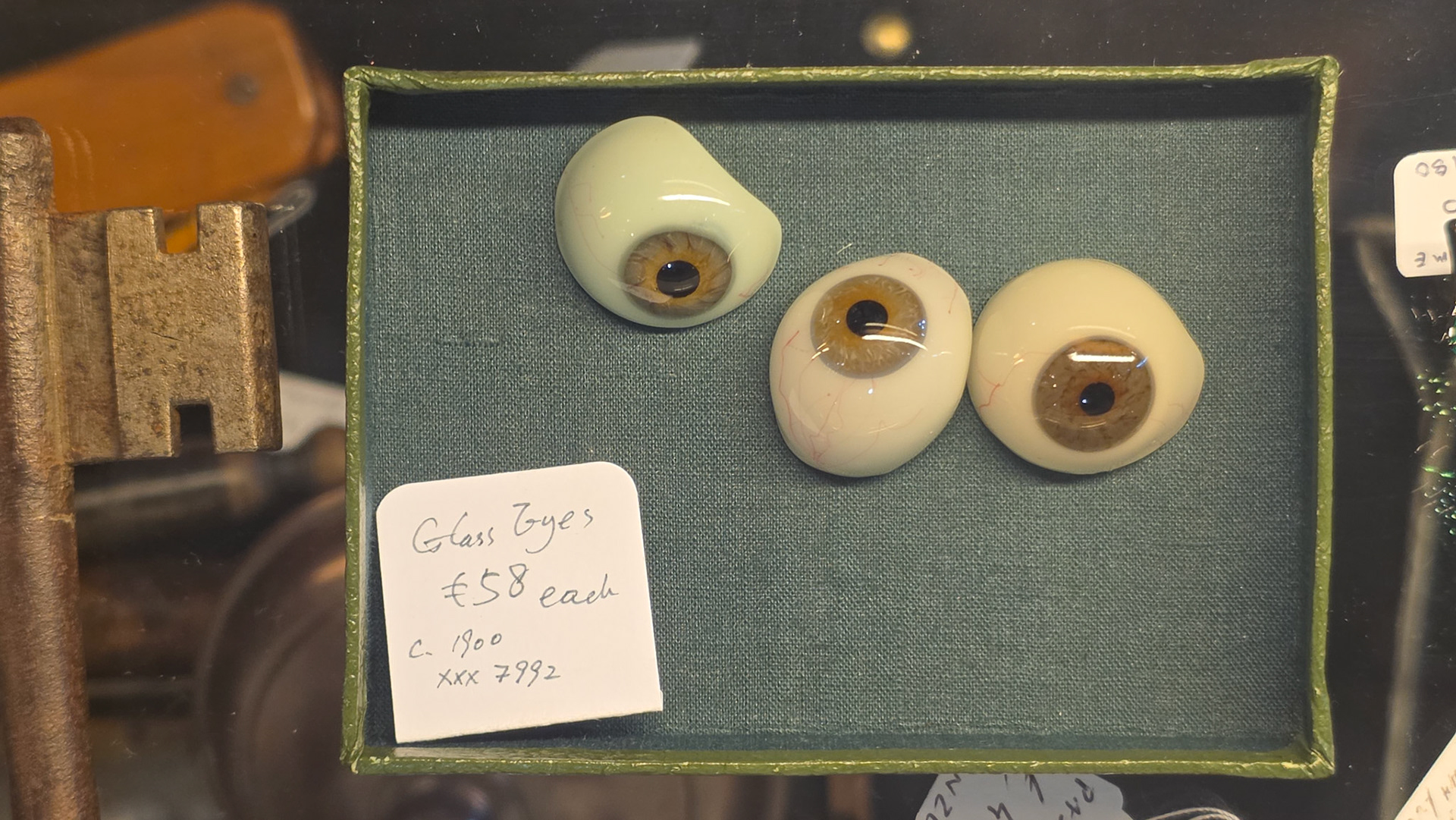 Glass eyes