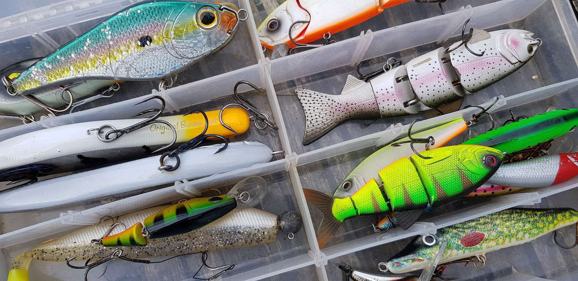 Time for fishing