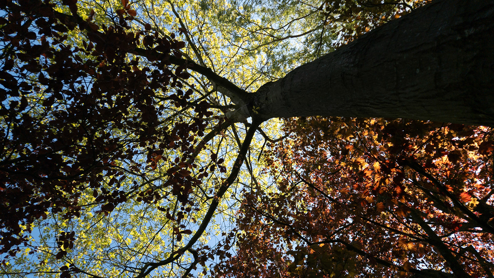 Sun at the top