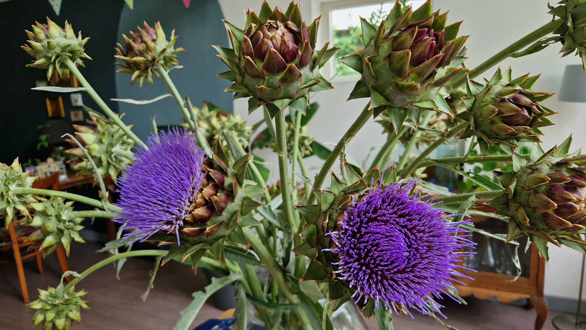 Artichoke bouquet