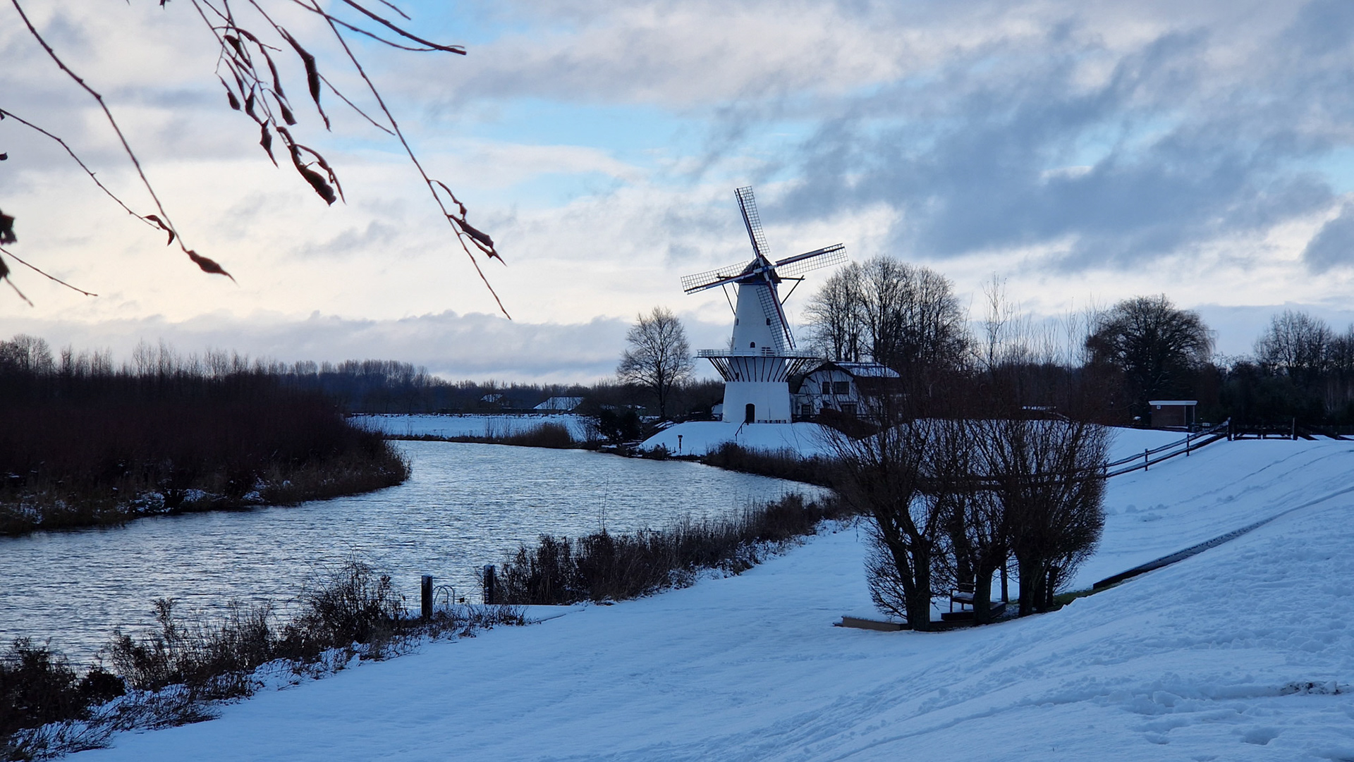 Koude molen