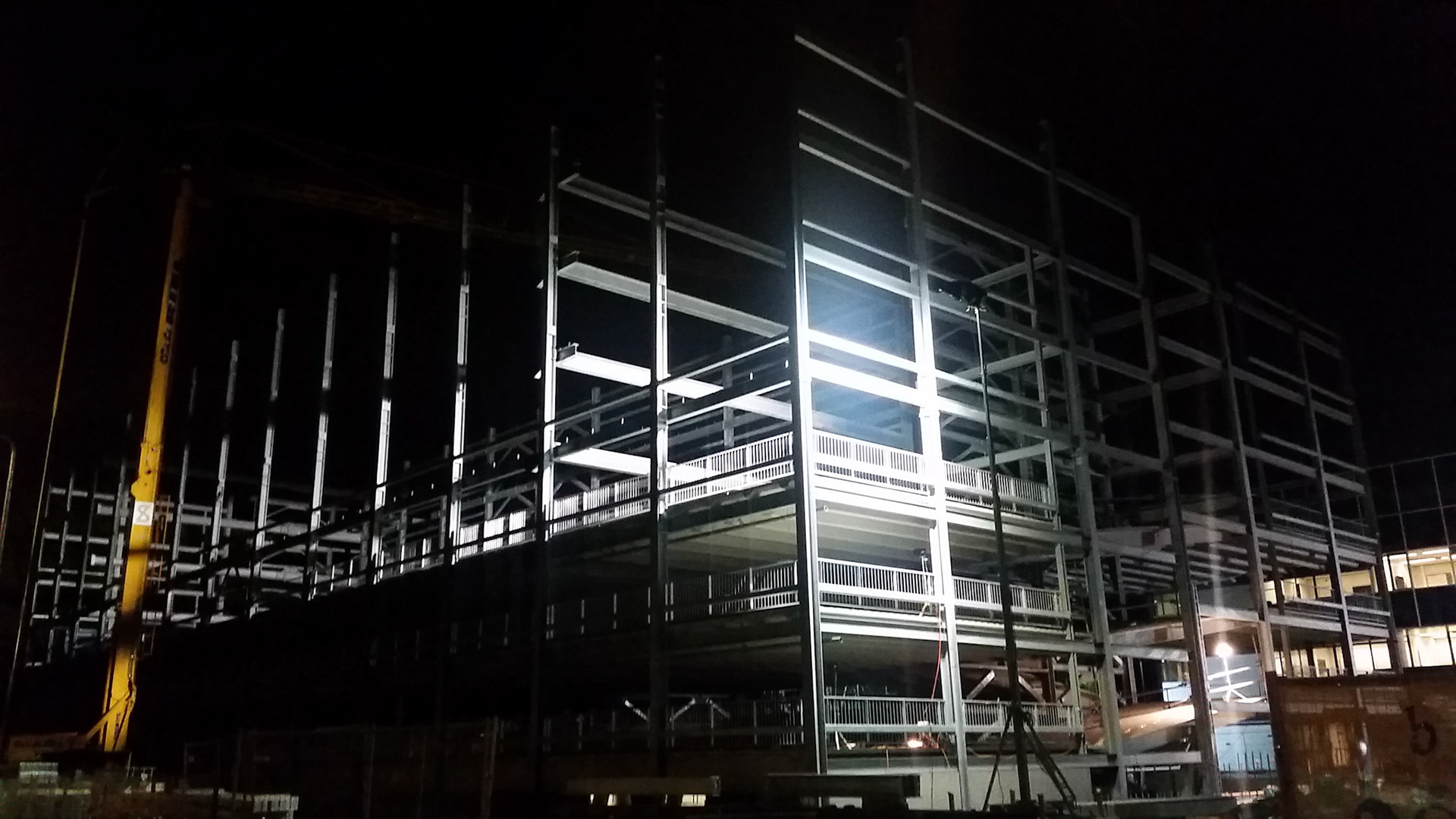 Skeleton in the dark