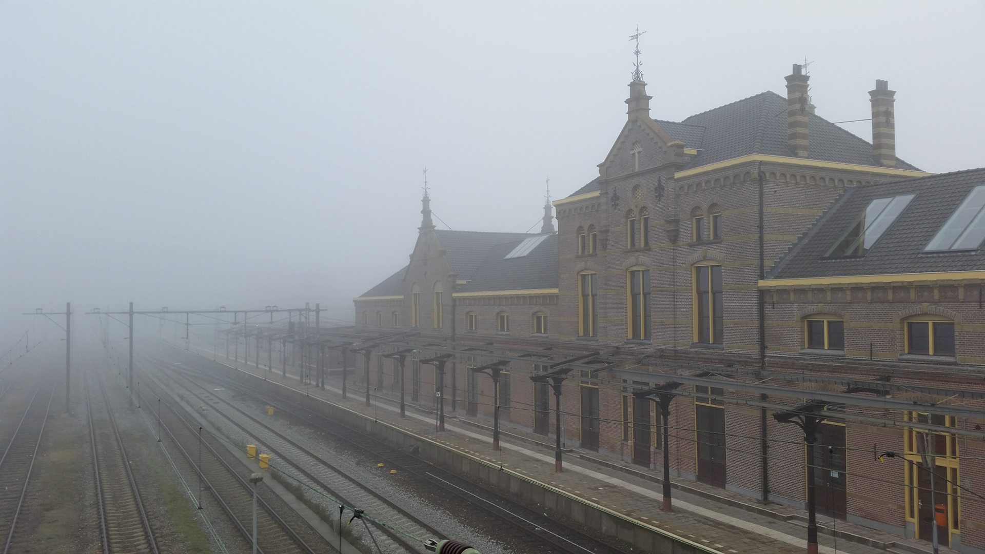 Mistige ochtend in Geldermalsen