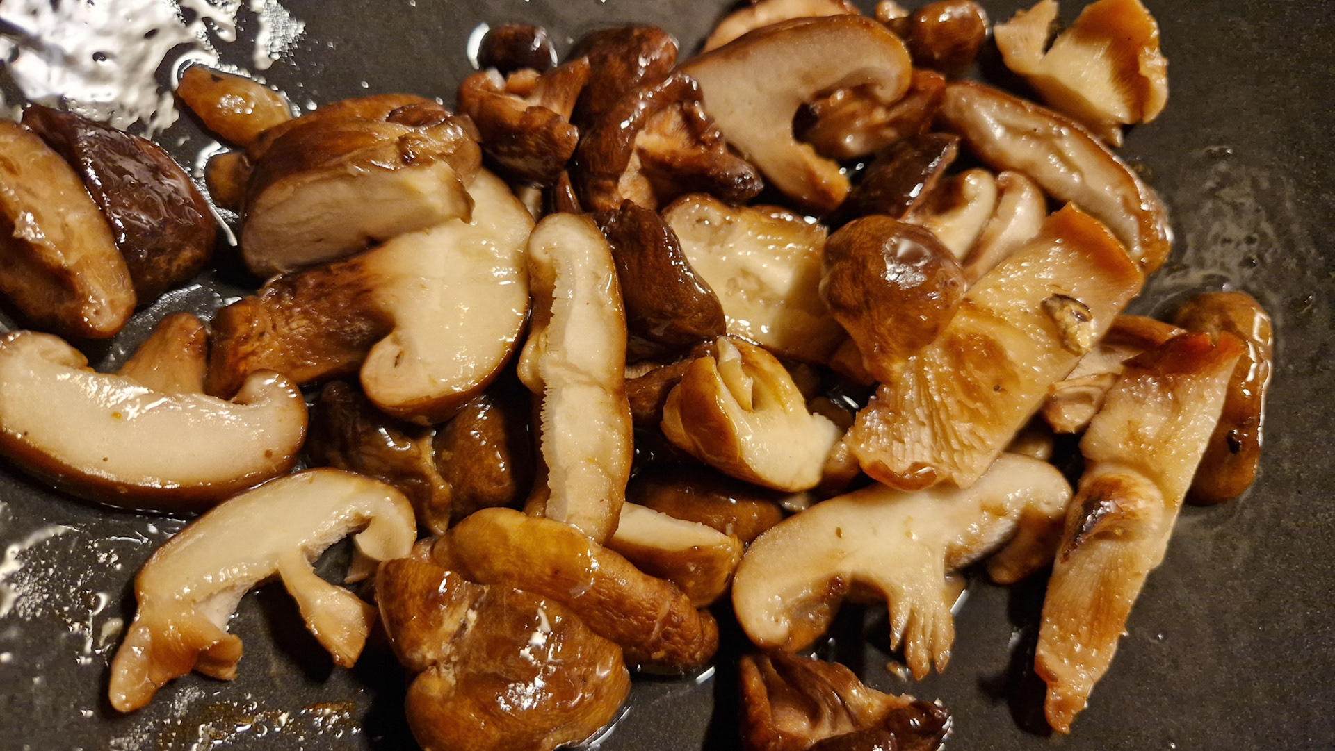 Tasty Shitake