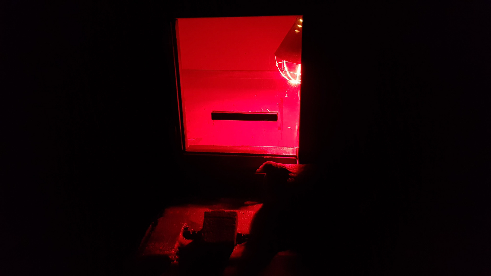 Chicken misunderstood