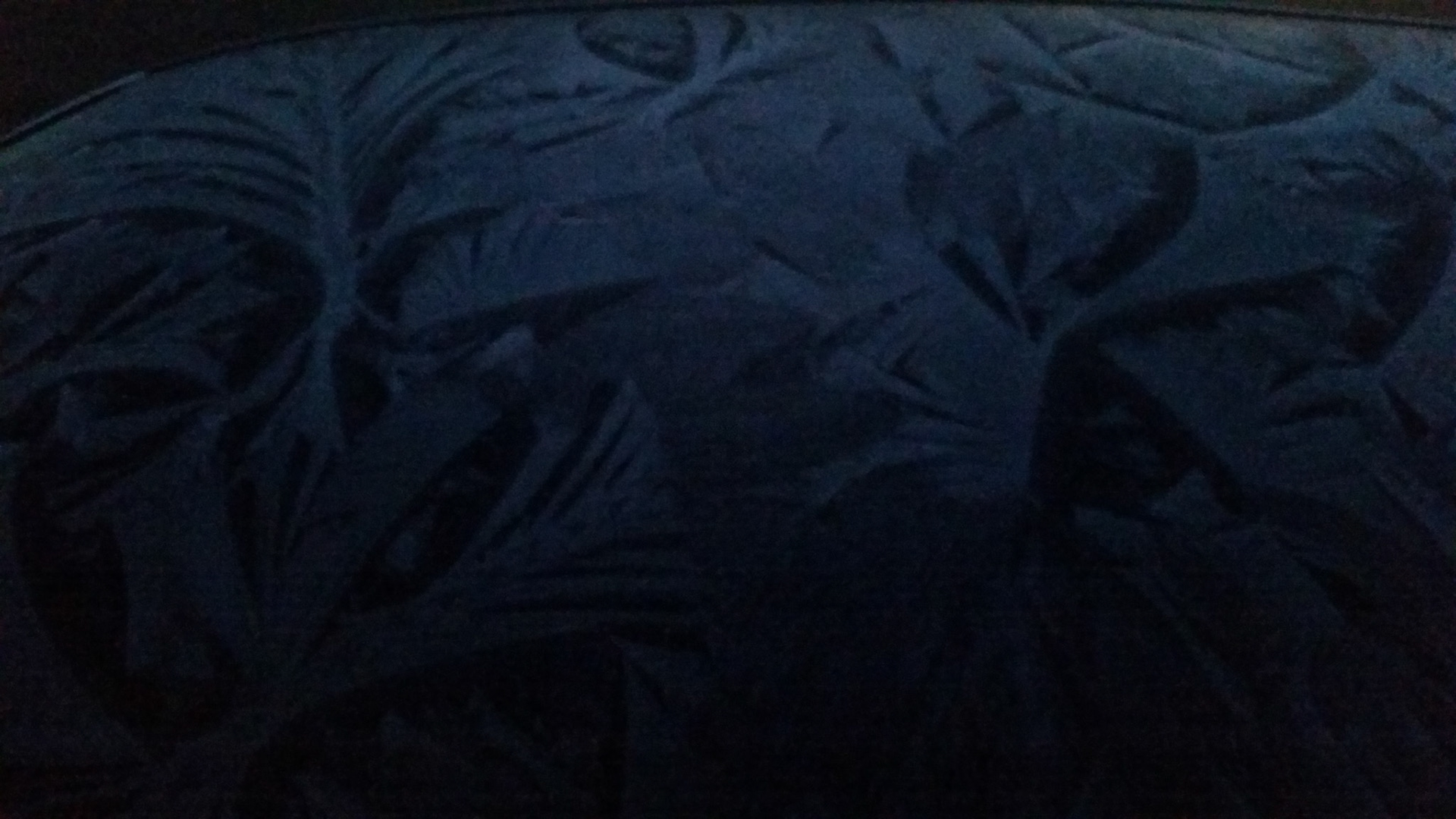 Ijsbloemen op het autodak