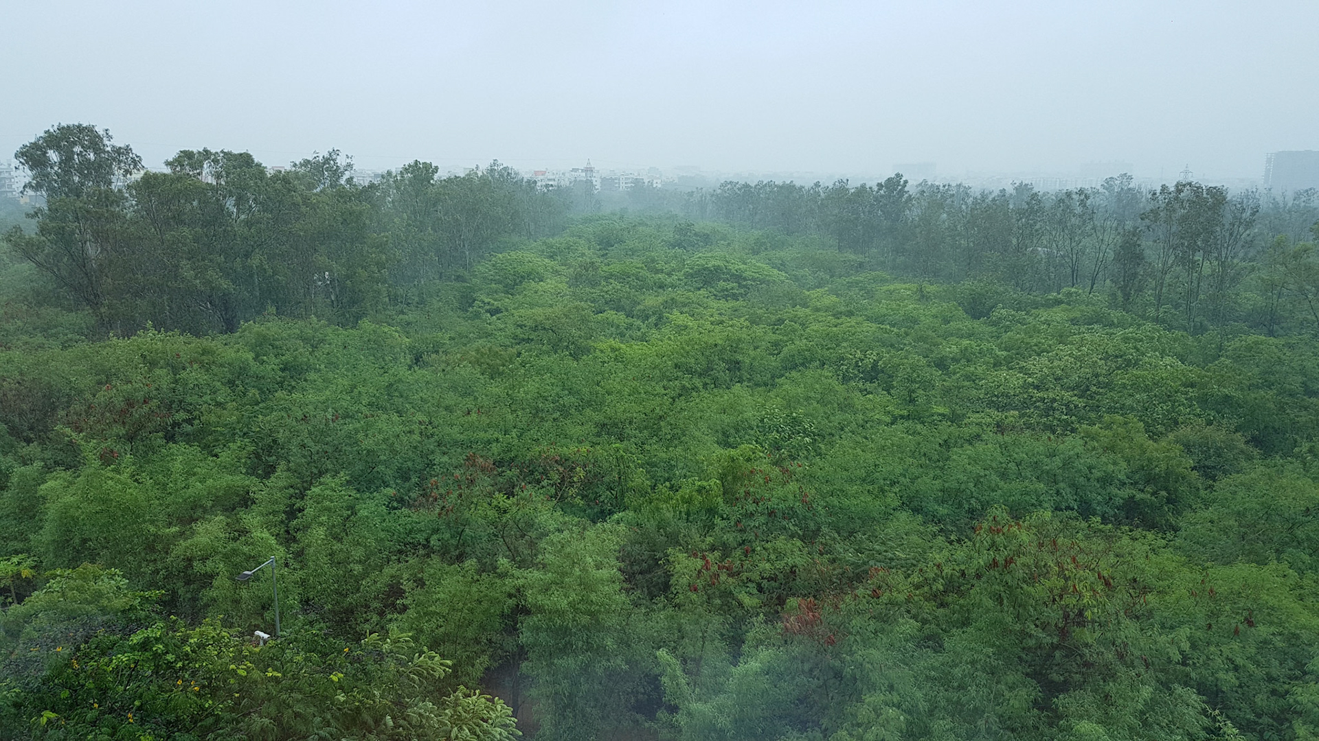Rain season in Hyderabad