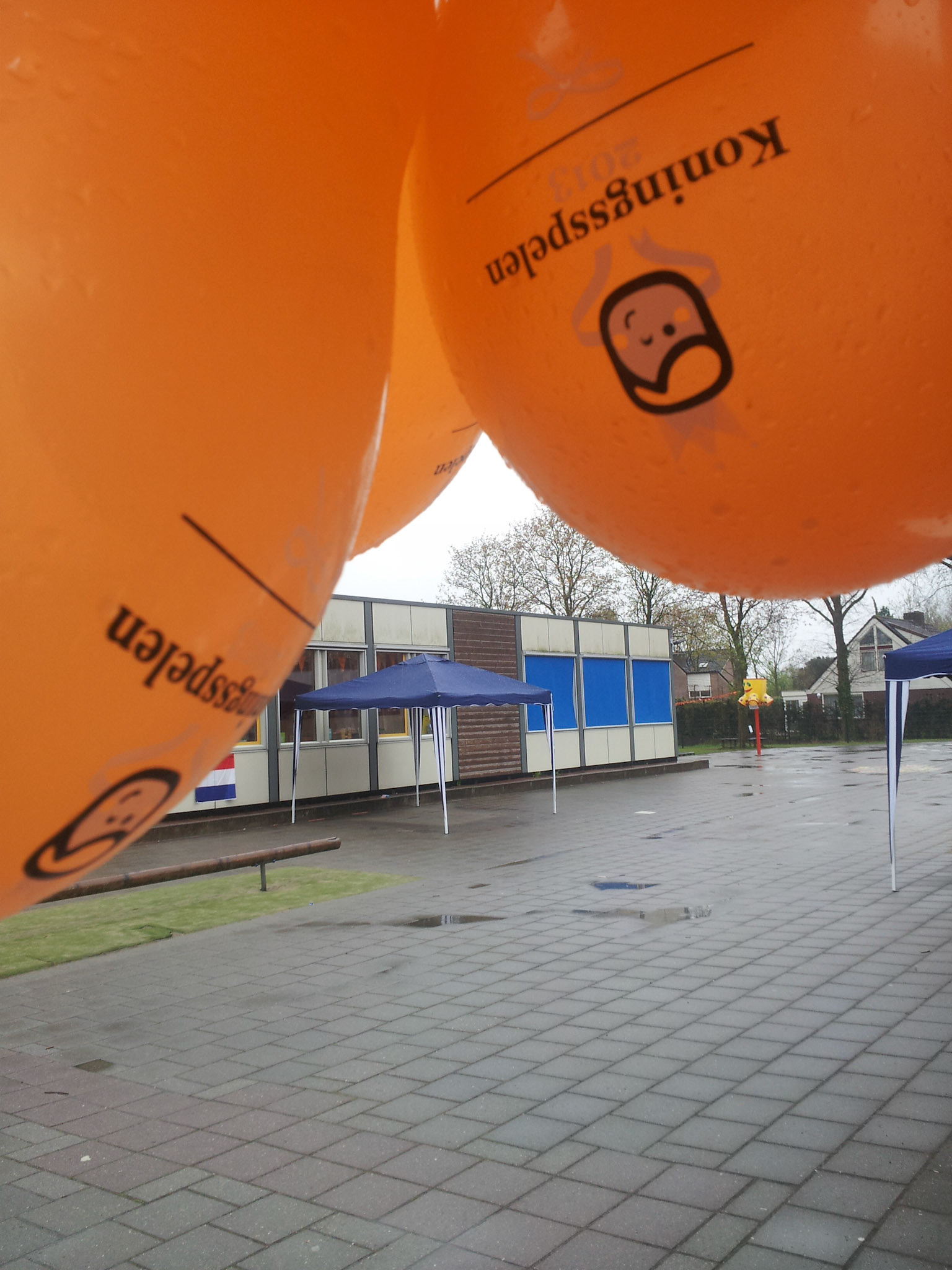 Verregende koningspelen