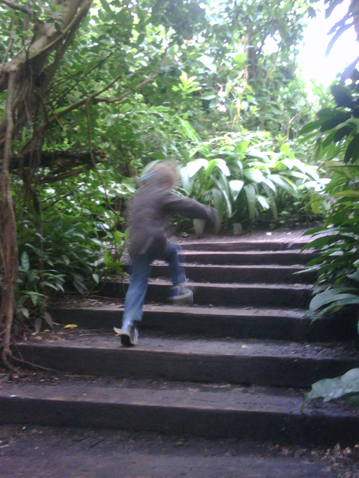 Met Mathijn in Burger's Bush... Pfff warm!