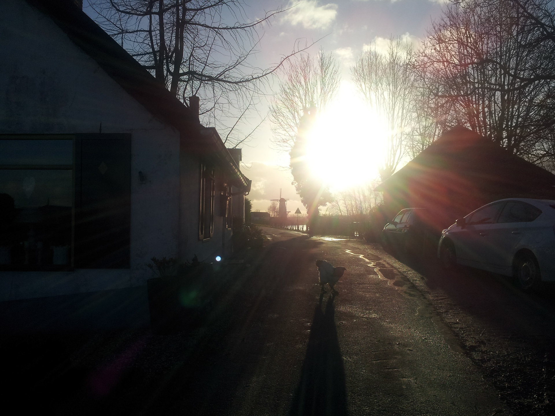 The new year is looking bright and pretty