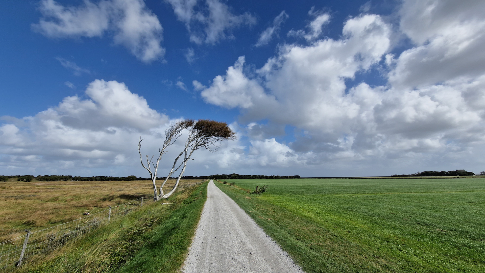 Windboom