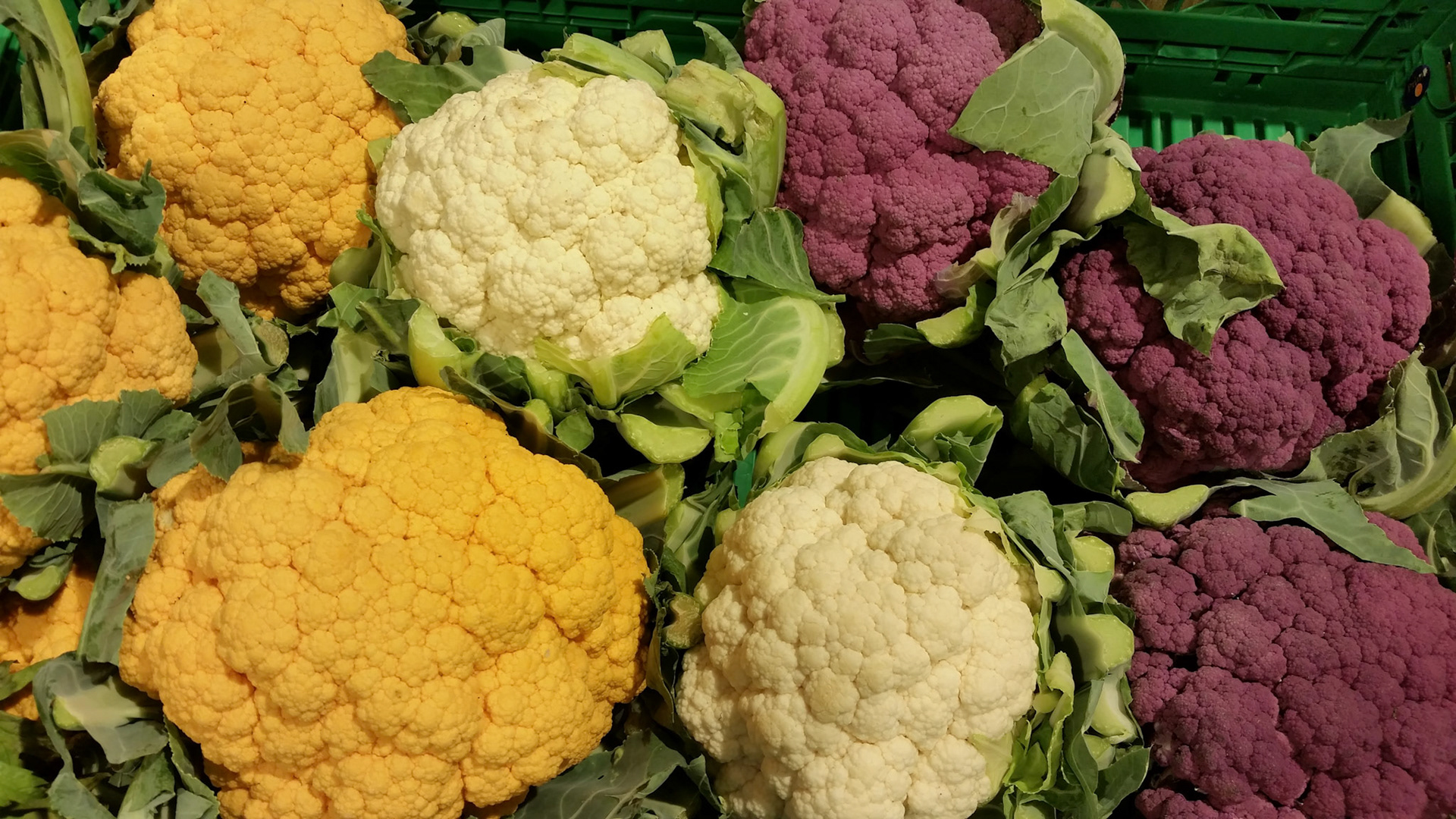 Tricolore bloemkool...