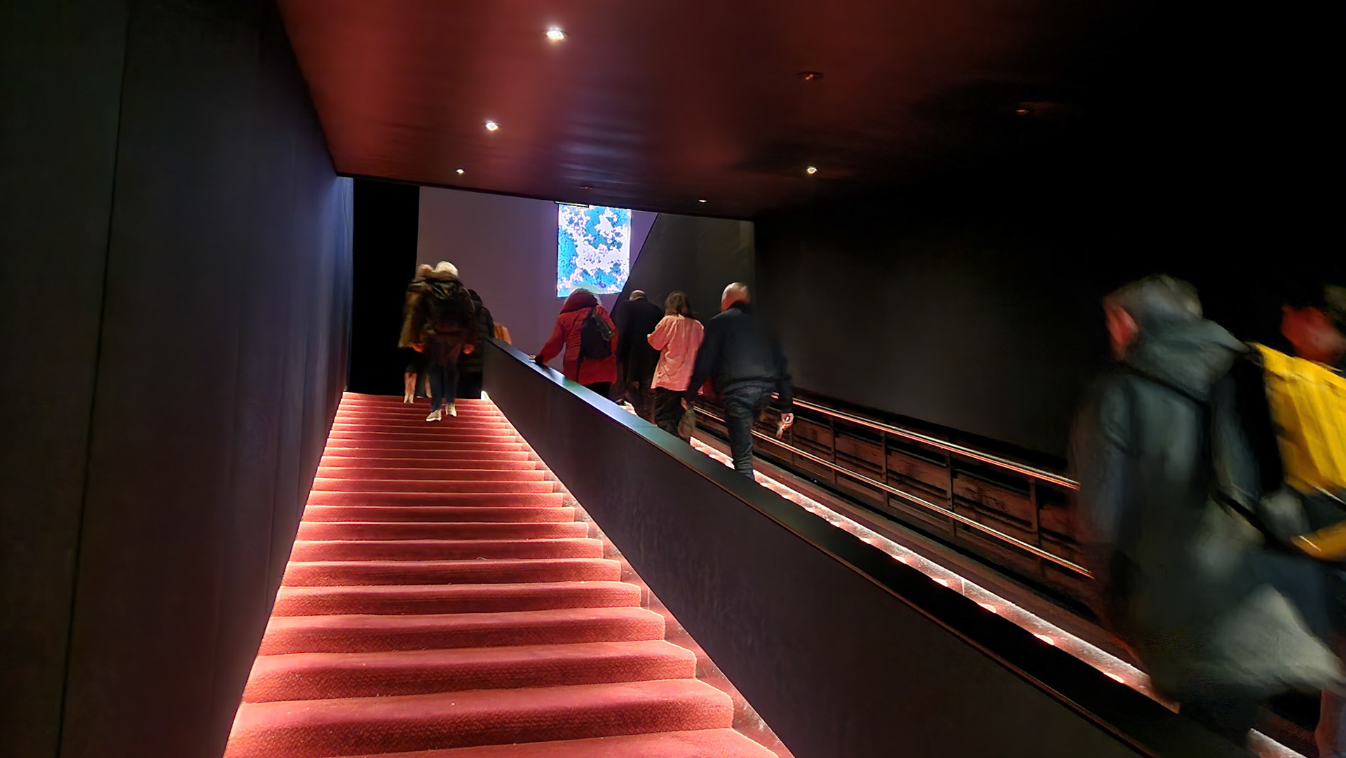 IFFR 2024
