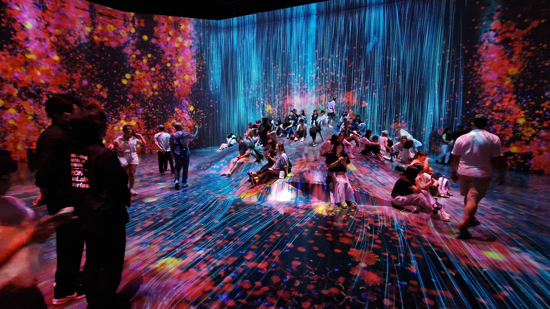 Teamlab Borderless