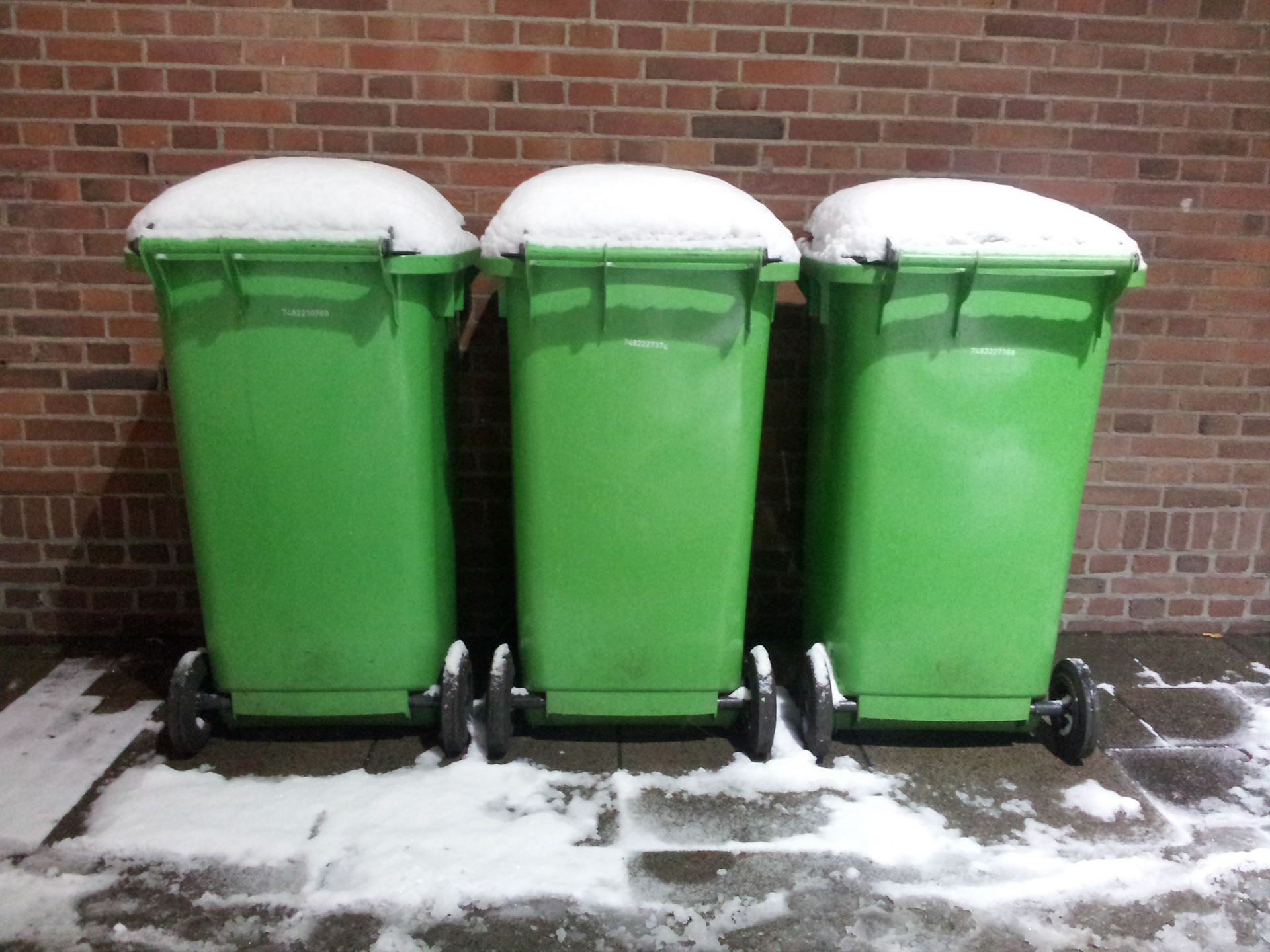 Vuilnisbakken bij de Chinees