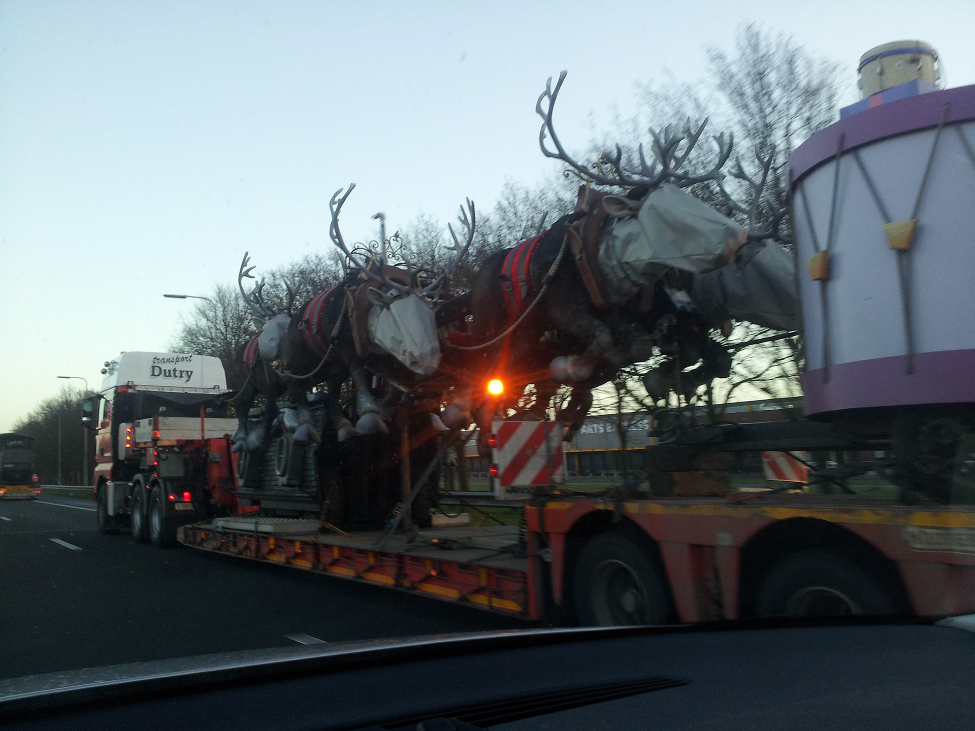 I thought reindeer flew