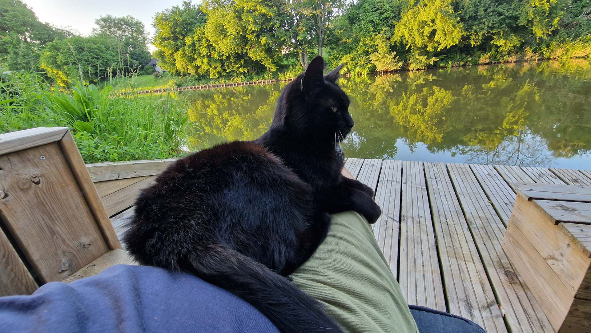 Human is seat