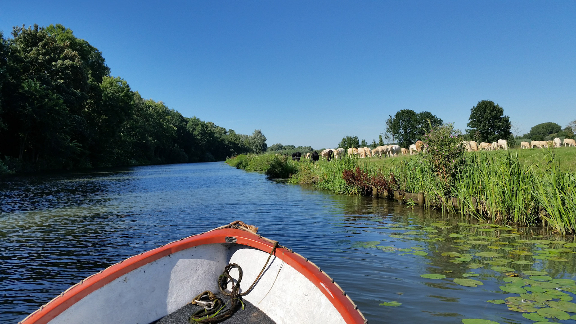 Bootje varen op een vrije middag
