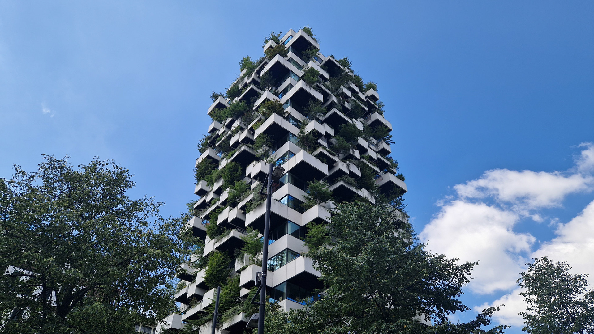 Vertical forest