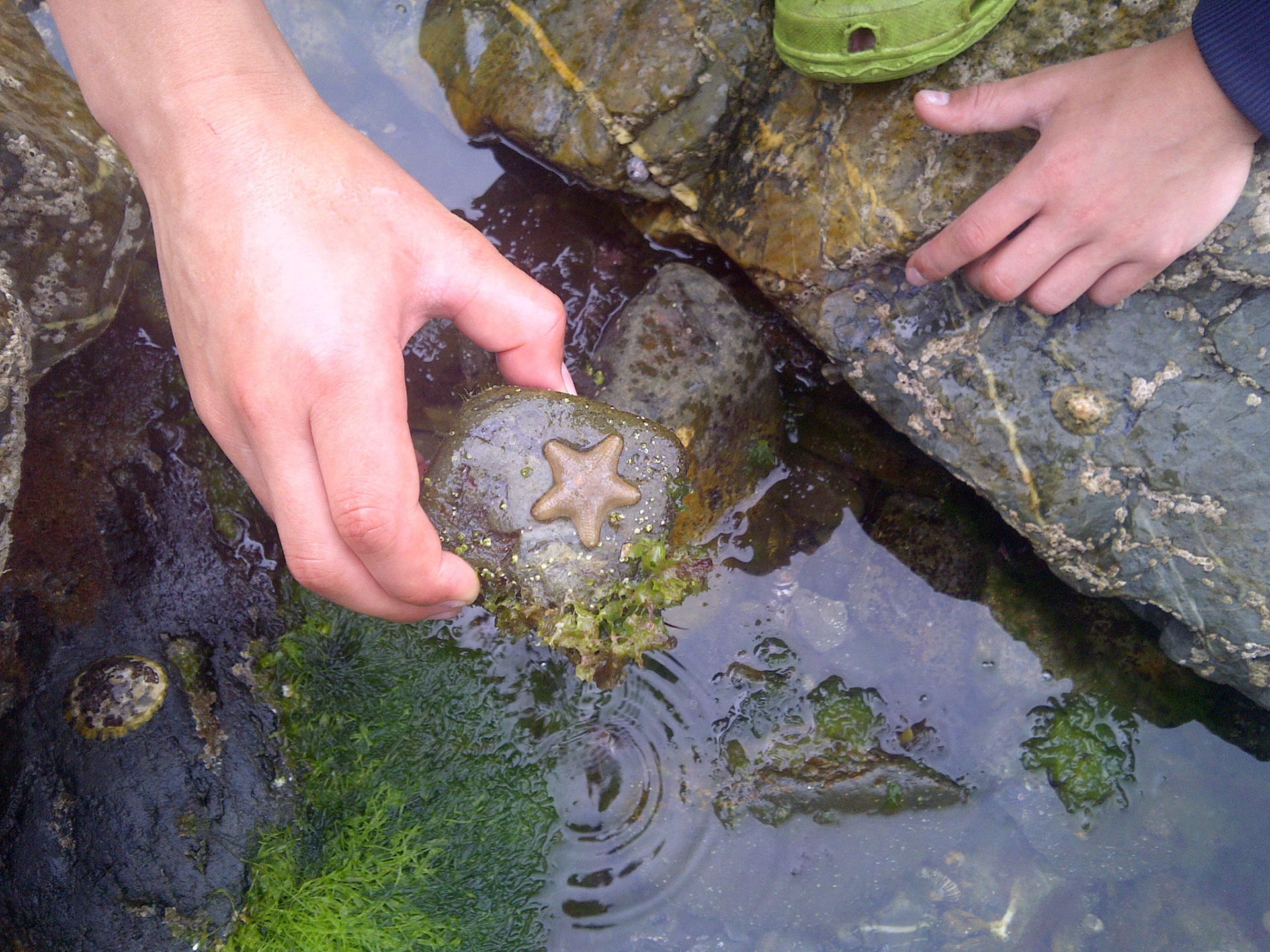 Als je goed kijkt vind je altijd iets bijzonders