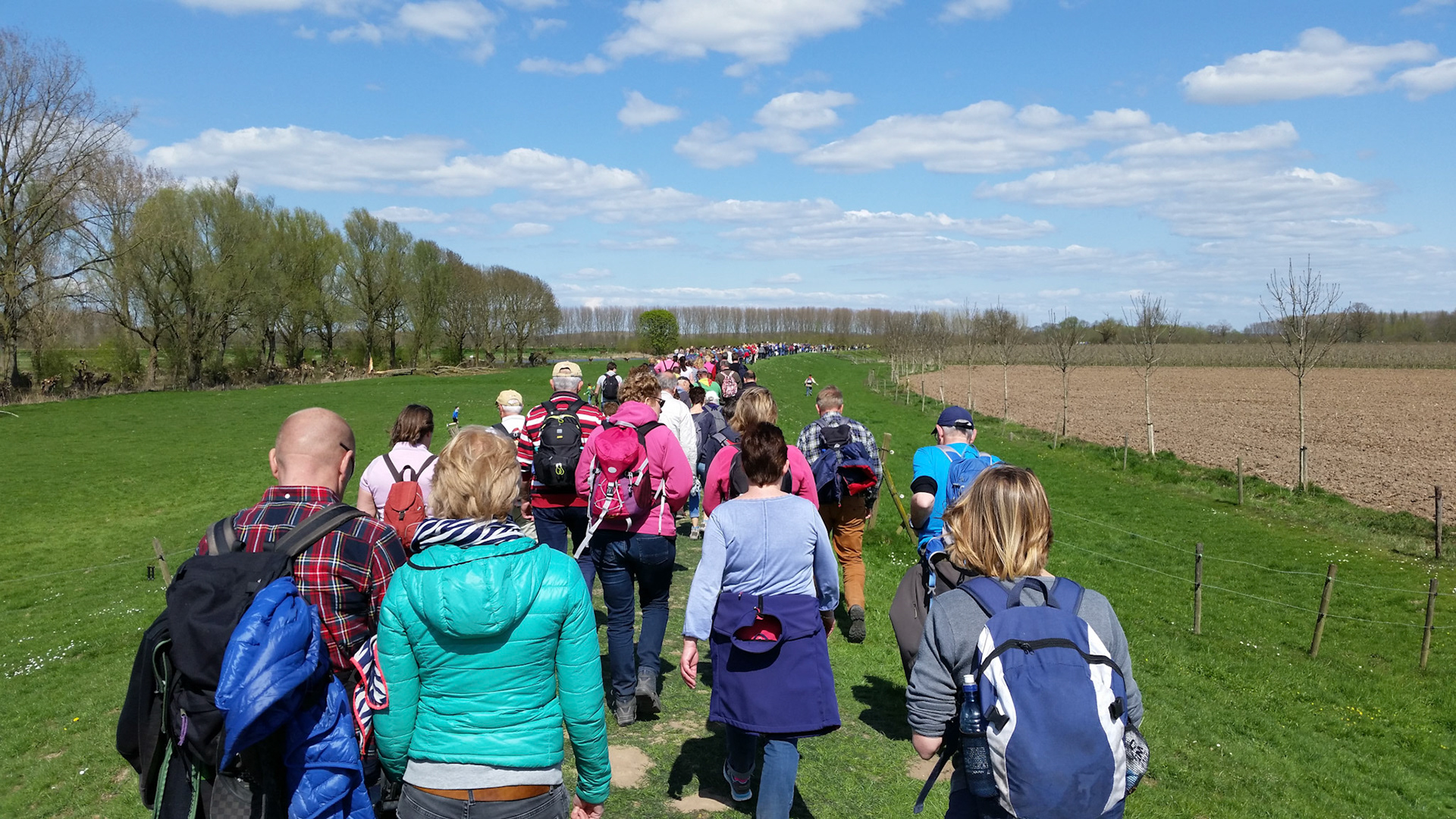 Veel wandelaars, weinig bloesem bij de bloesemtocht