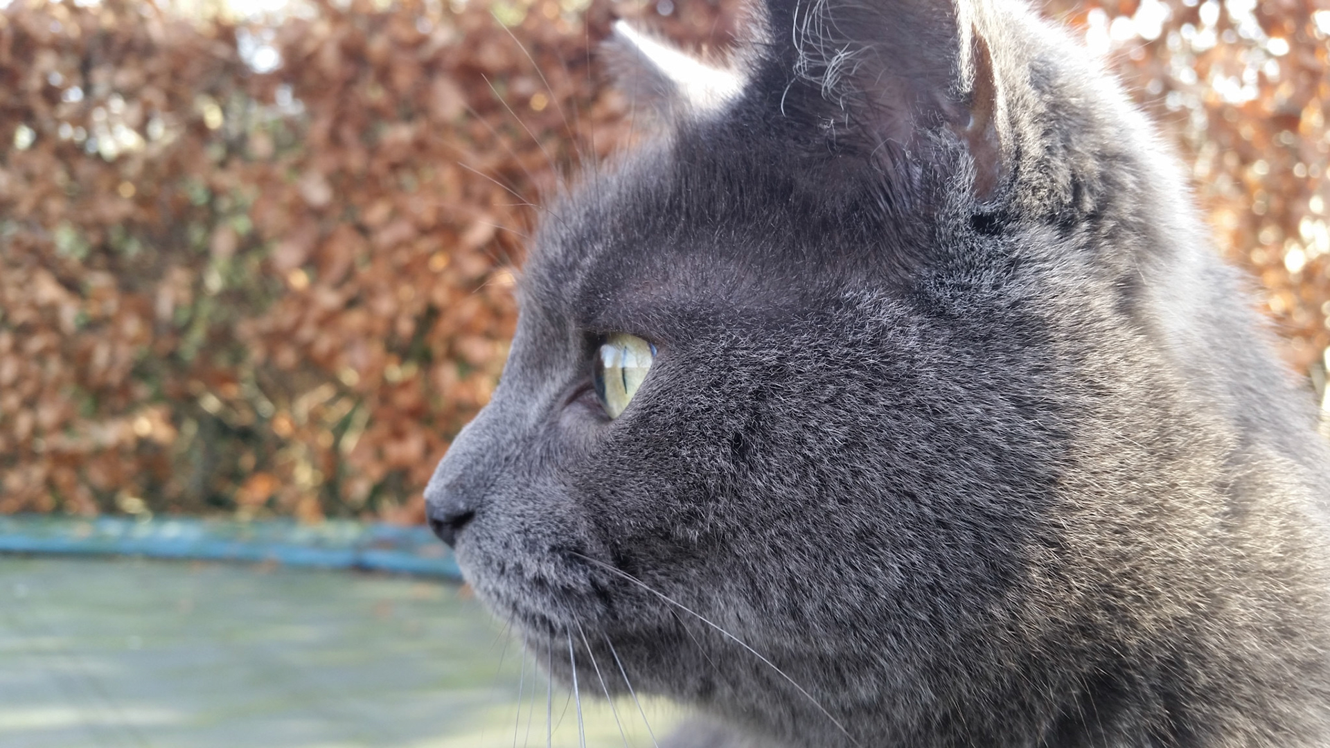 Lekker weertje Beertje