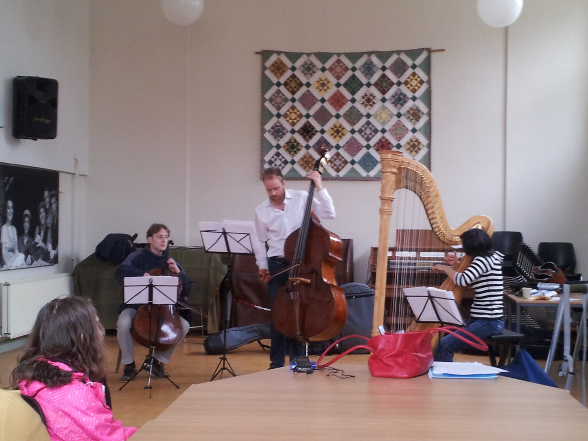 Try out van contra bas, harp en cello in Deil