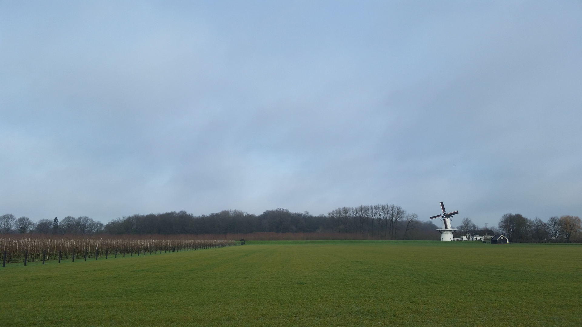 Zwak winter-zonnetje bij De Vlinder