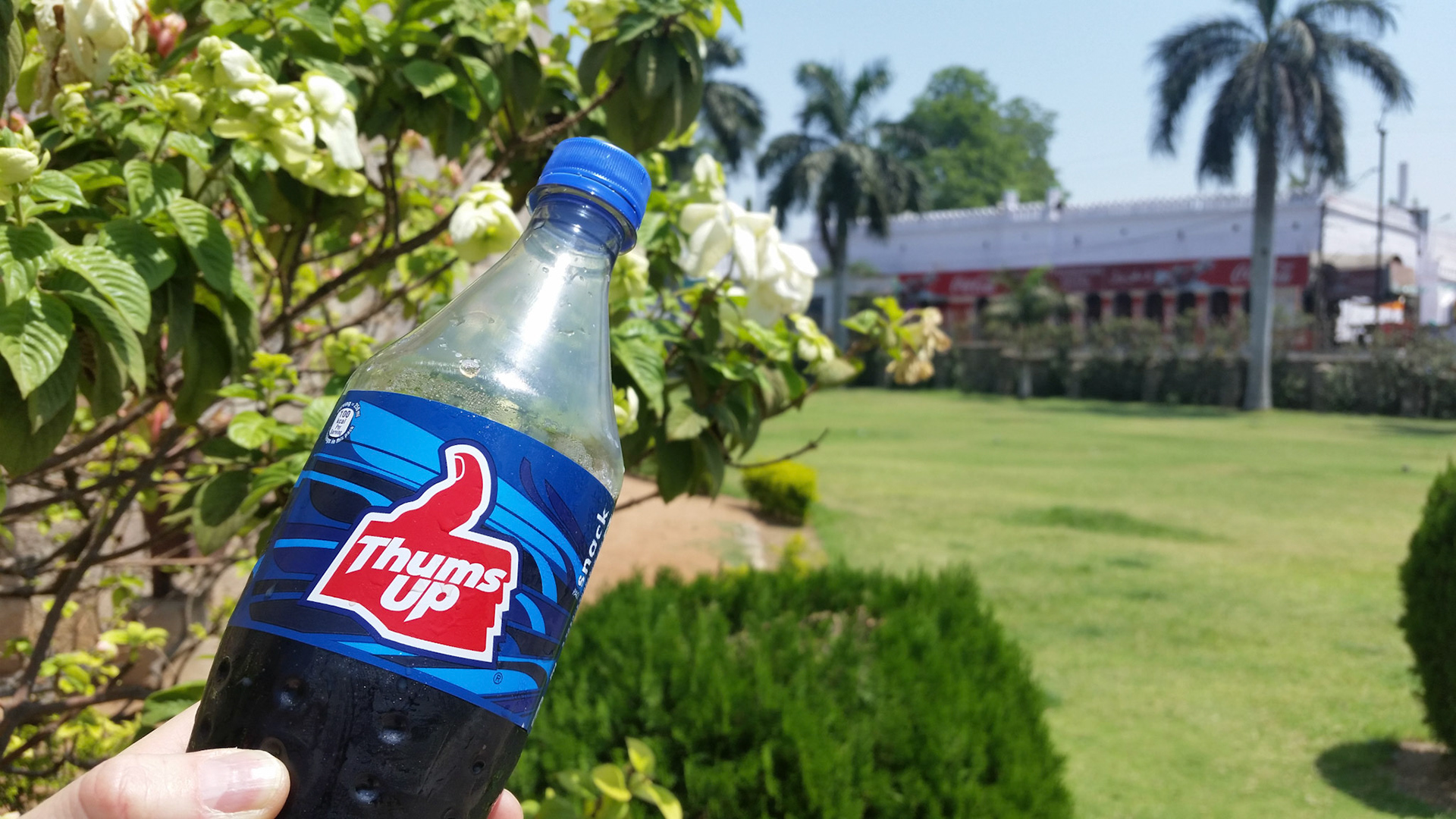 Thums up cola