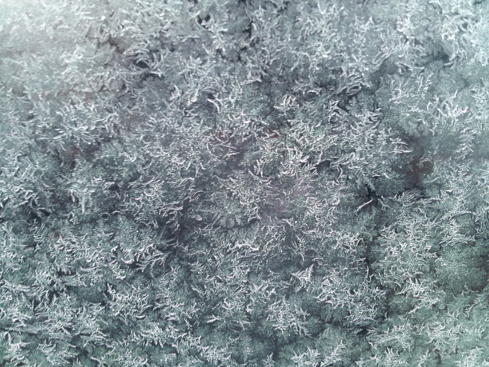 Waar blijft die lente?