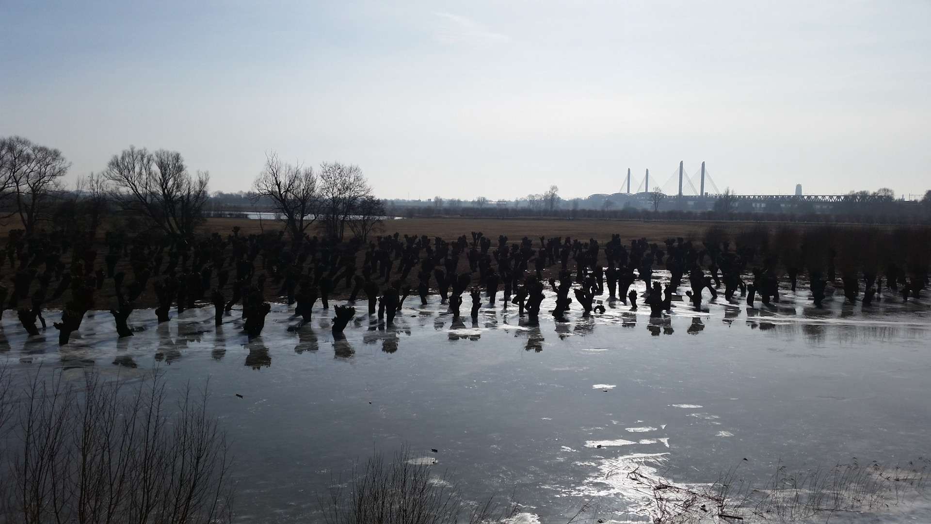 Long run along the Waal