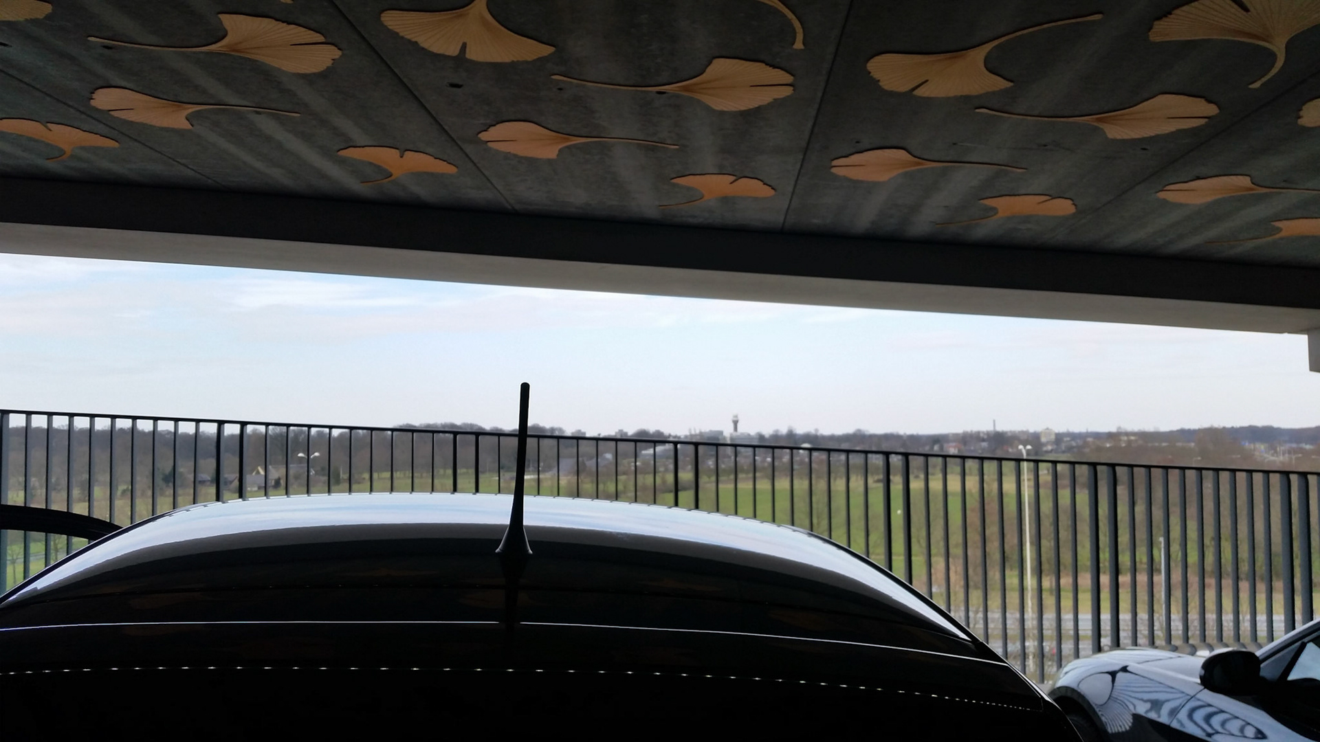 Blaadjes op het plafond