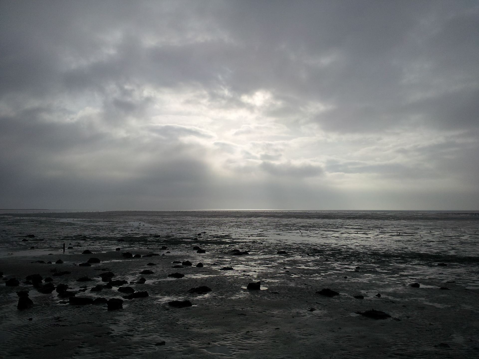 Beautiful muddy Waddenzee